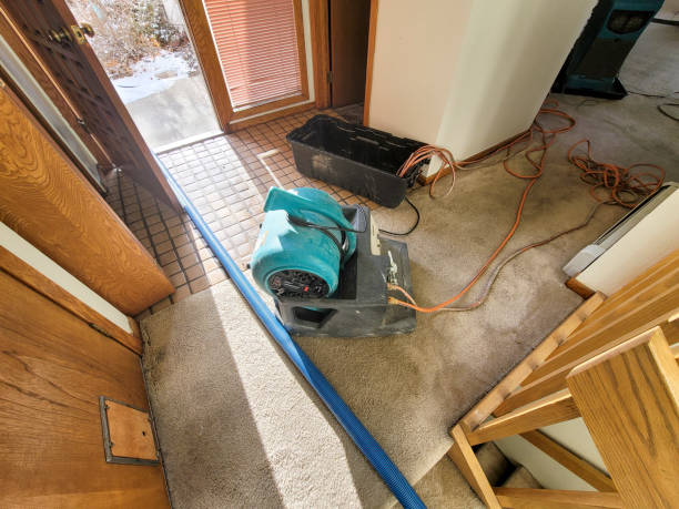 Best Carpet water damage restoration  in Marshall, MN