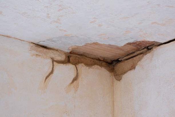 Best 24/7 water damage repair  in Marshall, MN