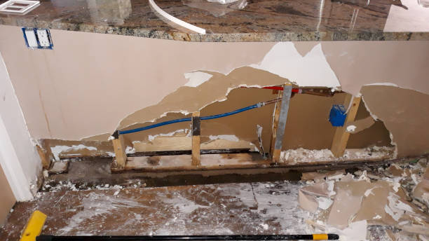 Best Flood damage cleanup  in Marshall, MN