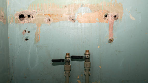 Best Basement water damage restoration  in Marshall, MN